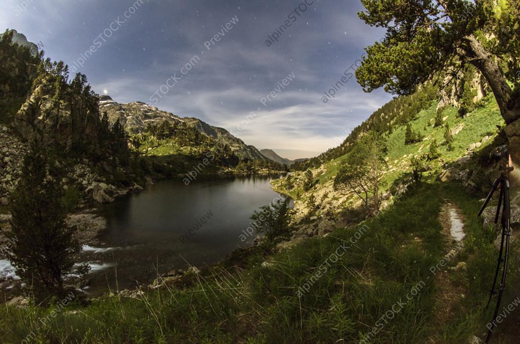 image preview