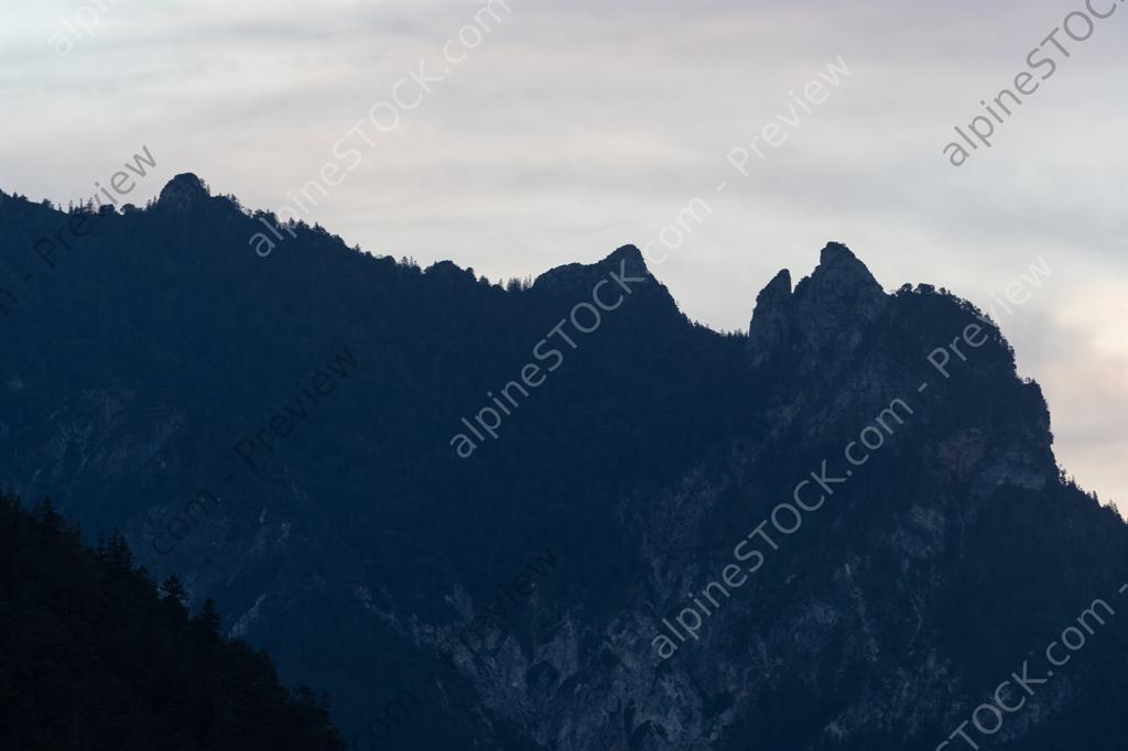 image preview